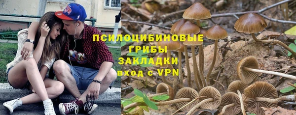 apvp Абаза