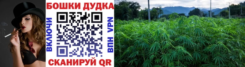 даркнет телеграм  блэк спрут как войти  Талдом  Бошки Шишки Ganja 